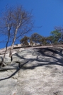 Stone Mountain, NC by GrouchoMark in Other