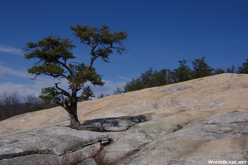 Stone Mountain, NC