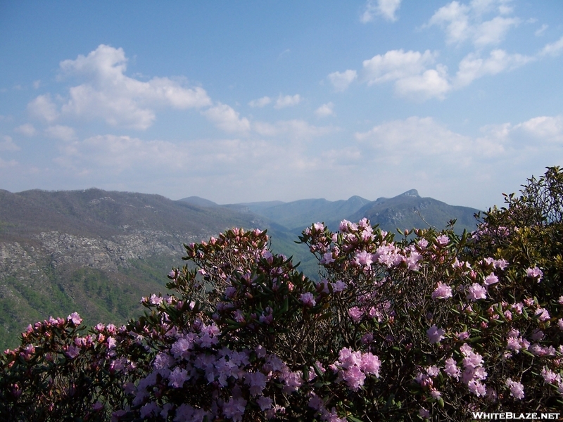 Linville Gorge, North Carolina