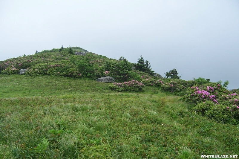 Roan Highlands, NC/TN