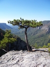 Linville Gorge, NC by GrouchoMark in Other Trails