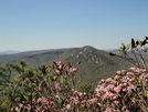 Linville Gorge, North Carolina.  May 2011 by GrouchoMark in Mountains to Sea Trail