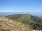 View north from Big Bald NC