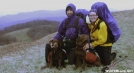 LabDad and BlueBelt on Max Patch by Repeat in Thru - Hikers