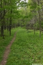 View of the AT in SW VA by Repeat in Views in Virginia & West Virginia