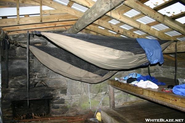 Hammocks in the Shelter