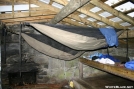 Hammocks in the Shelter by Repeat in Hammock camping