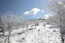 Buzzard Rocks by Repeat in Views in Virginia & West Virginia