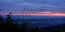 Rice Field On The A.t. Nort Of Pearisburg Va by Repeat in Views in Virginia & West Virginia