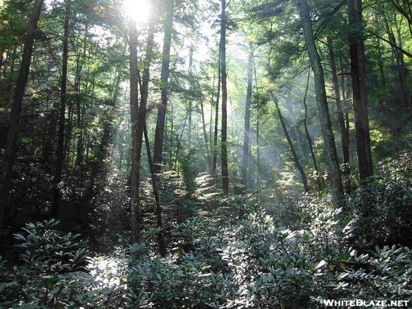 Mist and light in the valley