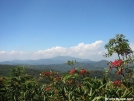 Looking west from Little Rock Knob