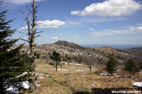 View just north of Thomas Knob Shelter (VA)