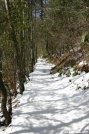 Snow on the A.T. GSMNP