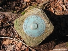 Survey Marker by Repeat in Trail & Blazes in North Carolina & Tennessee