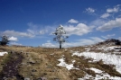 View just north of Thomas Knob Shelter (VA) by Repeat in Views in Virginia & West Virginia