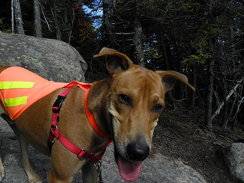 whiteface kamasmile