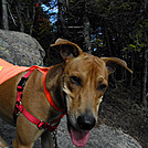 whiteface kamasmile