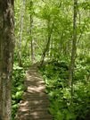 Boardwalk - Mass At by OldFeet in Trail and Blazes in Massachusetts