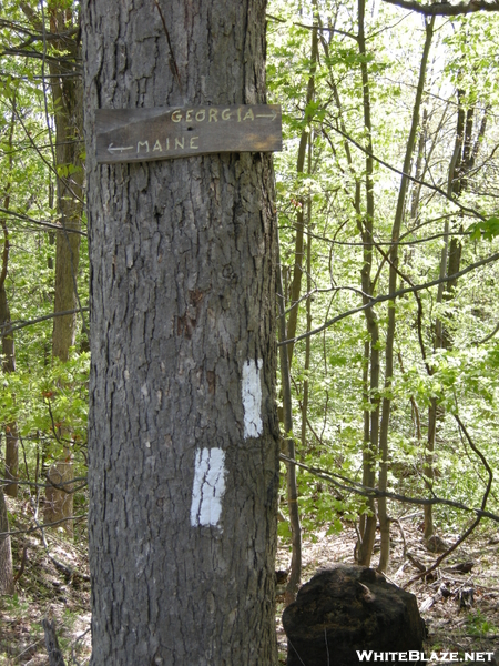 N.y. Trail Sign