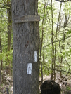 N.y. Trail Sign