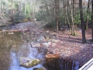 Campsite 37 by mts4602 in Views in North Carolina & Tennessee