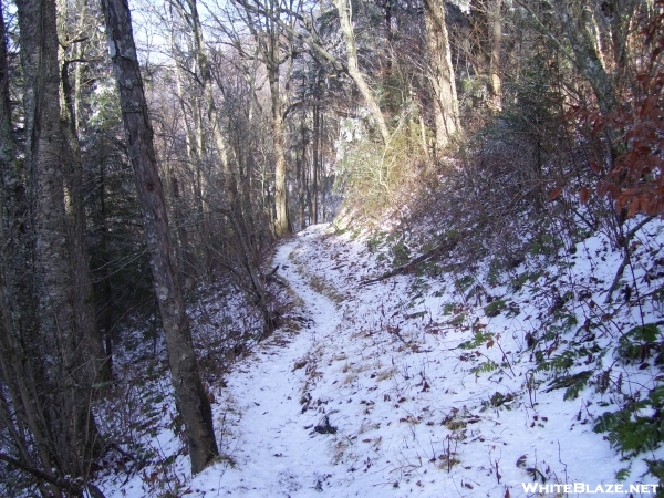 Mt. Sterling Ridge Trail