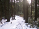 Mt. Sterling Ridge Trail by mts4602 in Views in North Carolina & Tennessee