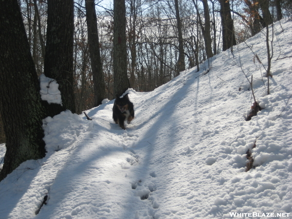 Jefferson Memorial Forest