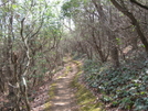 March 2007 Start of hike AT