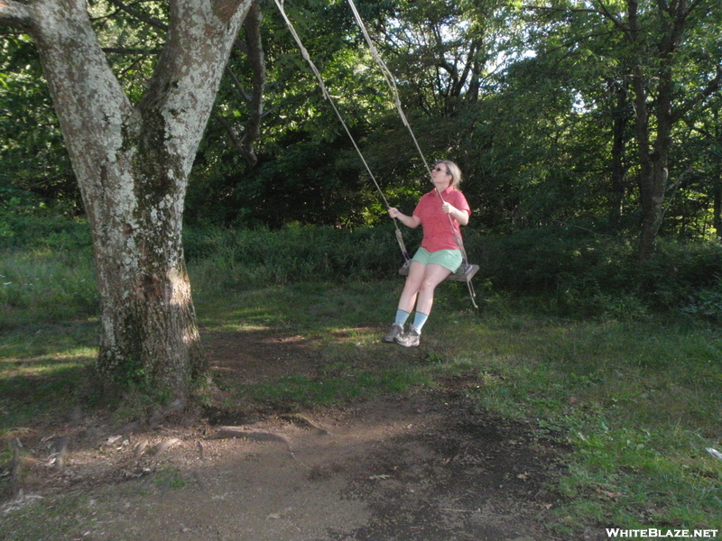 Using The Swing At Cow Camp Gap