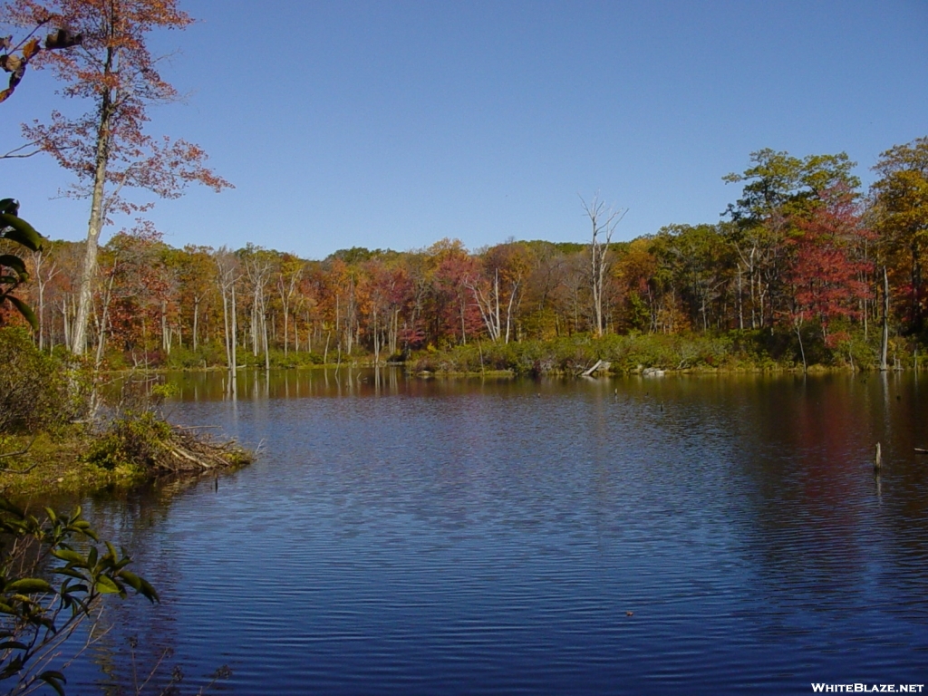 The ledges