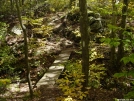 The ledges by dragonfly16 in Trail and Blazes in Massachusetts