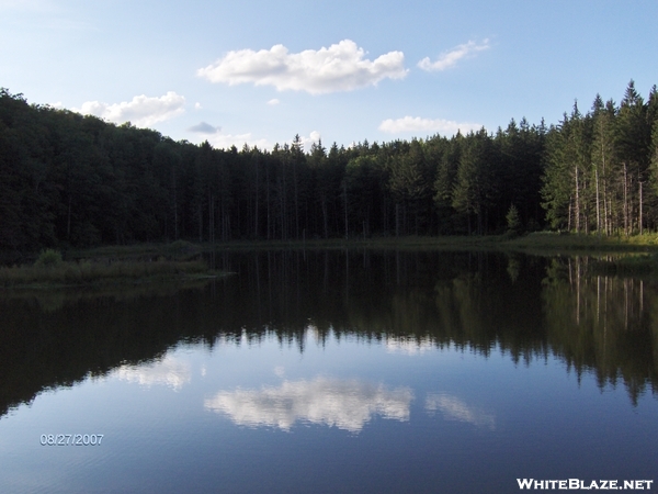 North Country Trail - Morgan Hill State Forest