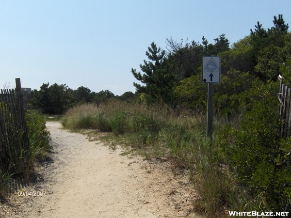 American Discovery Trail - Cape Henlopen