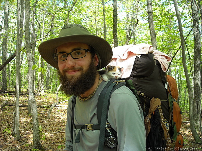 Thru hiker with a kitten on his back