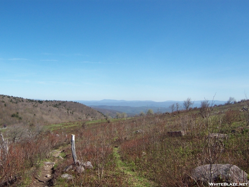 Grayson Highlands Spring 2007