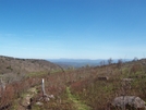 Grayson Highlands Spring 2007