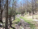 Grayson Highlands Spring 2007