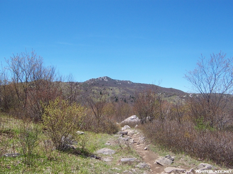 Grayson Highlands Spring 2007