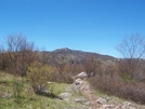 Grayson Highlands Spring 2007