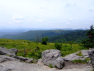Grayson Highlands by tripp in Views in Virginia & West Virginia