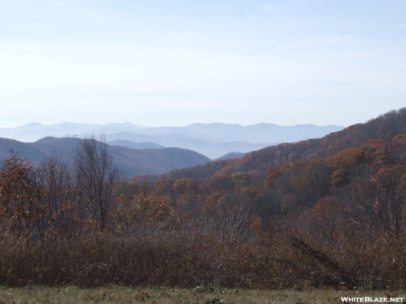 Max Patch