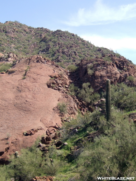 Camelback Mtn, Phoenix Az