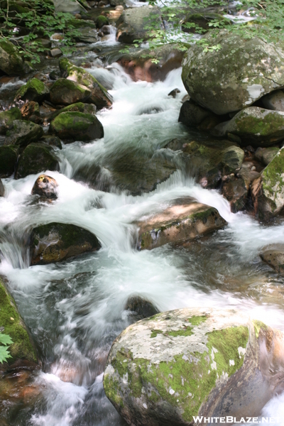 Smokies Stream