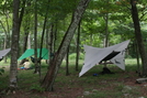 Hammock Hangout Gregory's Bald by tripp in Hammock camping