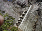 Ladder In Nj Near Ny State Line by Don H in Views in New Jersey & New York