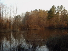 Cypress Swamp by MyName1sMud in Other Trails