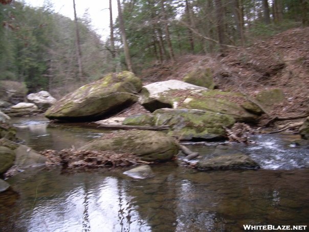 Sipsey Wilderness, Al