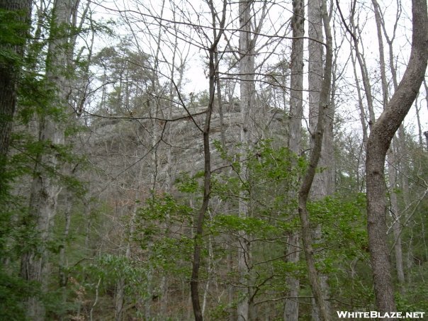 Sipsey Wilderness, Al