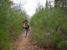 Sipsey Wilderness, Al